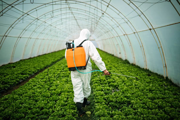 Best Local Pest Control Services  in Tustin, CA