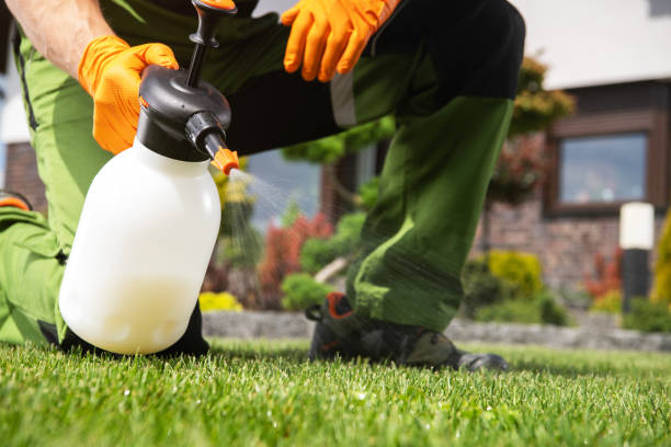 Best Termite Control Services  in Tustin, CA