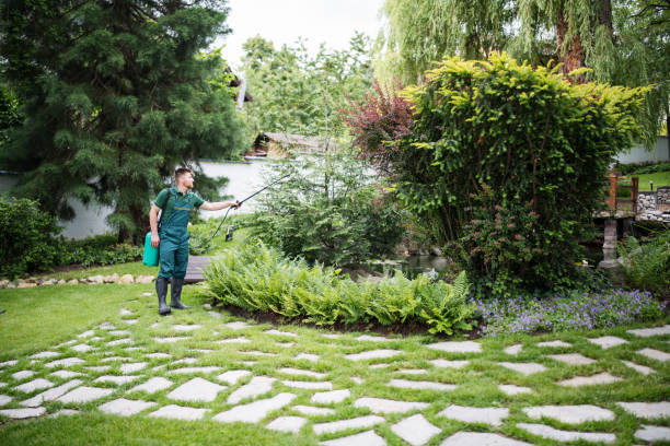 Best Pest Removal Services  in Tustin, CA