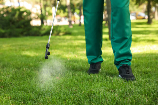 Best Mosquito Control Services  in Tustin, CA