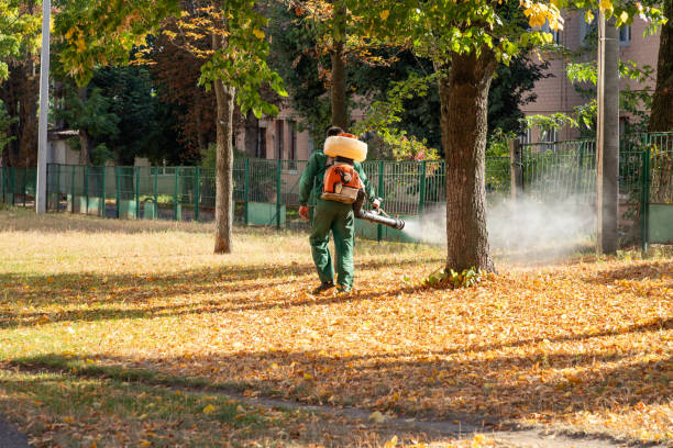 Best Pest Control Cost  in Tustin, CA