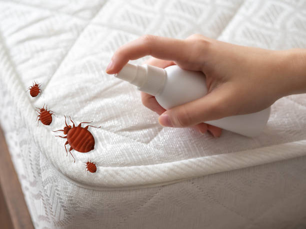 Best Emergency Pest Control  in Tustin, CA