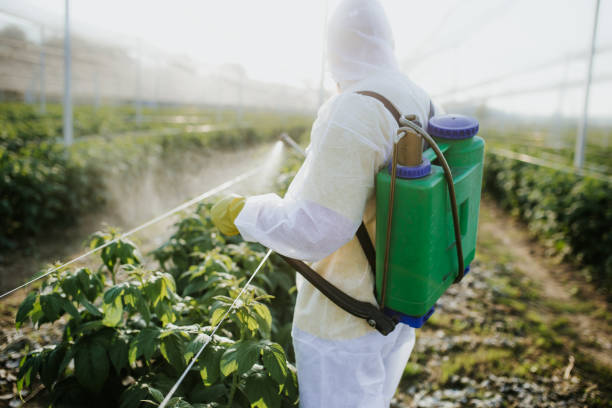 Best Flea Control Services  in Tustin, CA